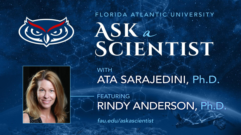 ask a scientist rindy